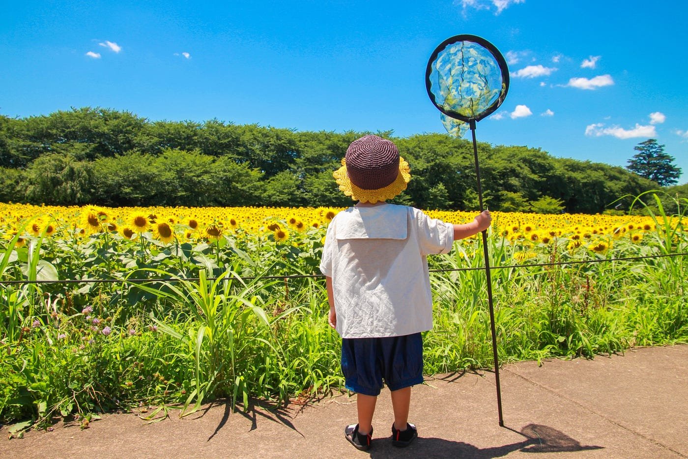 🦋 이시카와현 만남의 곤충관(이시카와켄 후레아이 콘추칸) 이미지 4